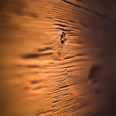 Vetter Ξενοδοχείο