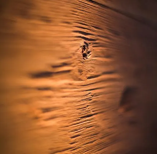 Vetter Ξενοδοχείο