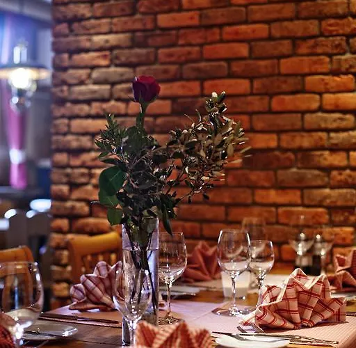 فندق Vetter أروسا