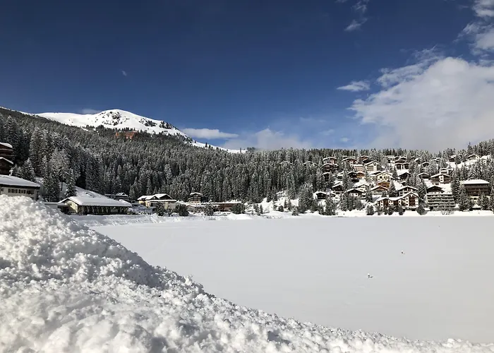 Vetter 3* Αρόζα