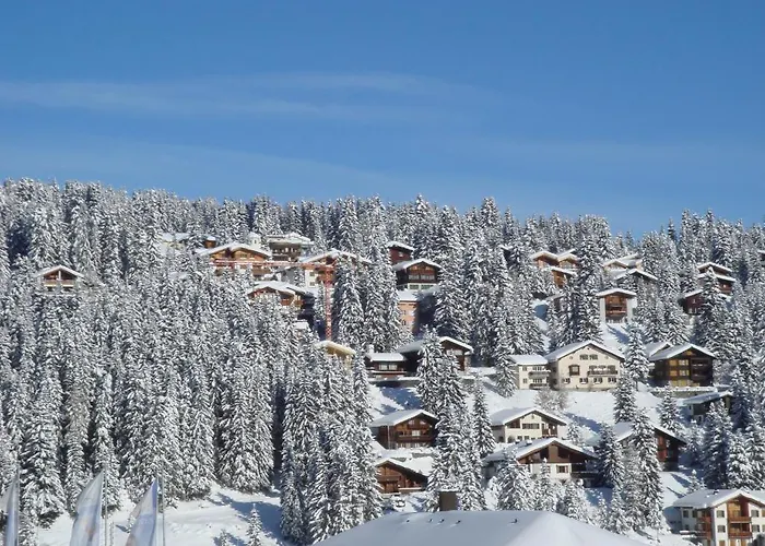 Ξενοδοχείο Vetter 3*